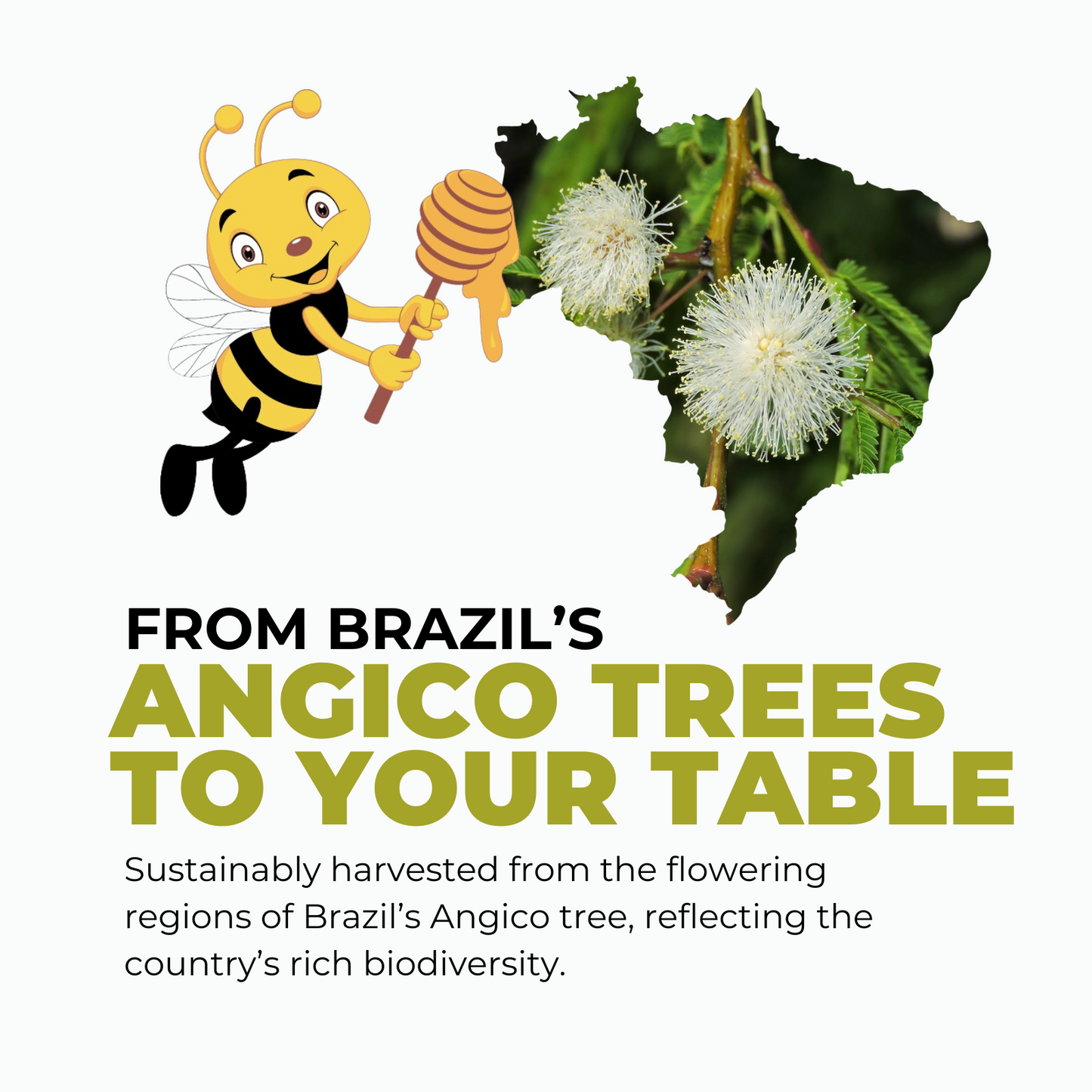 Angico Organic Honey - 8.47 oz