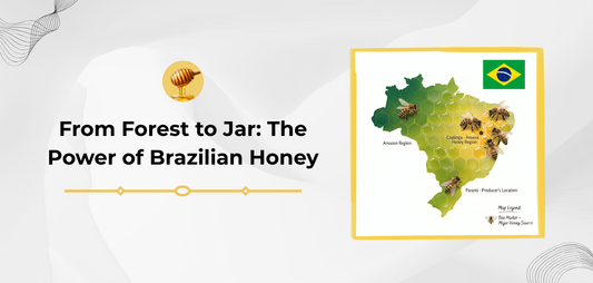Nature’s Gold: Brazilian Honey Uncovered