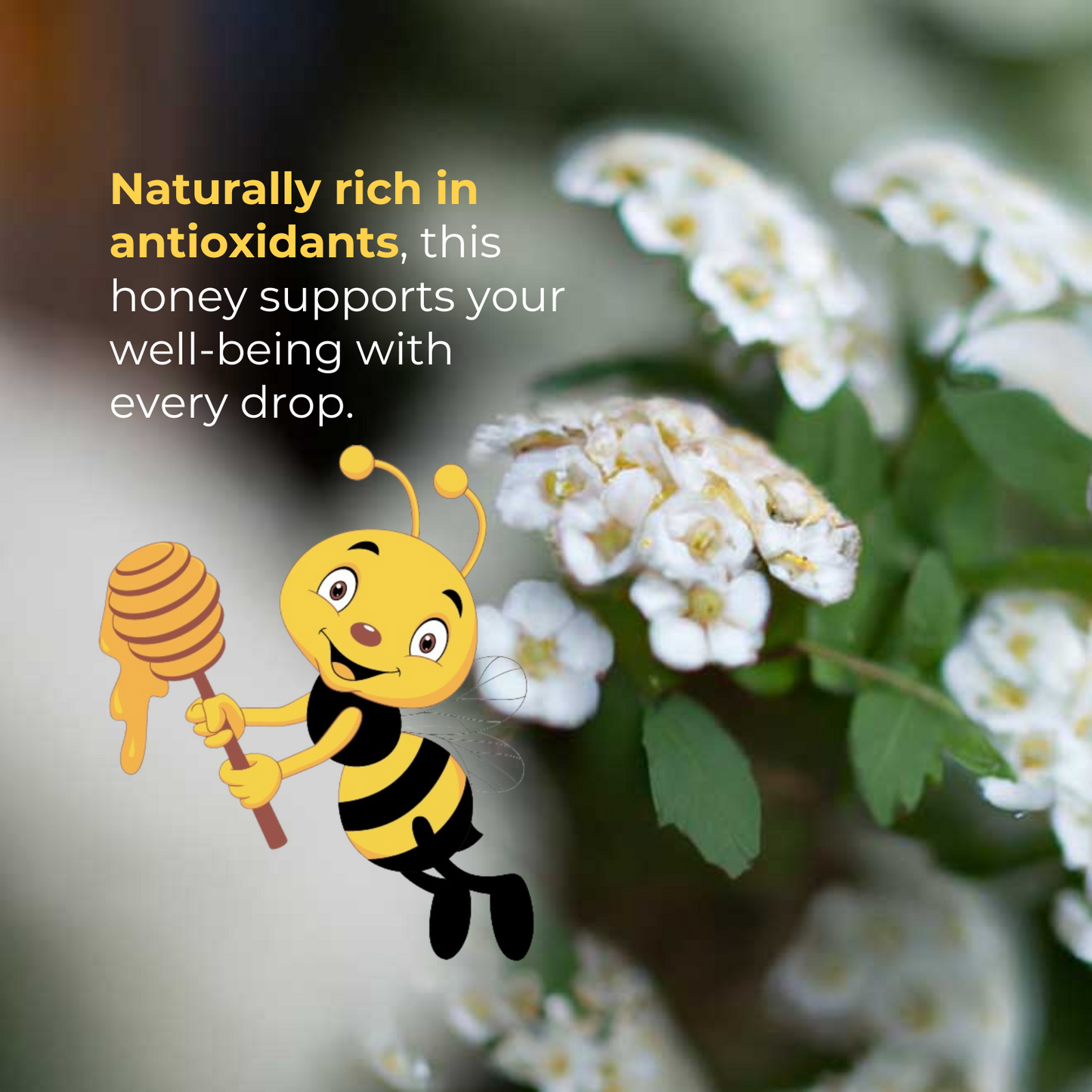 Bride’s Bouquet Organic Honey - 8.47 oz
