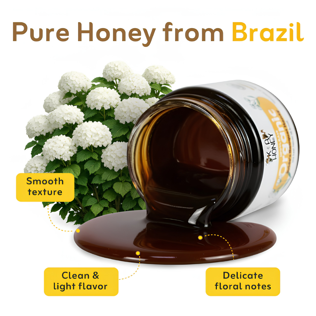 Organic Bride’s Bouquet Honey – Unique Flavor Honey from Brazil